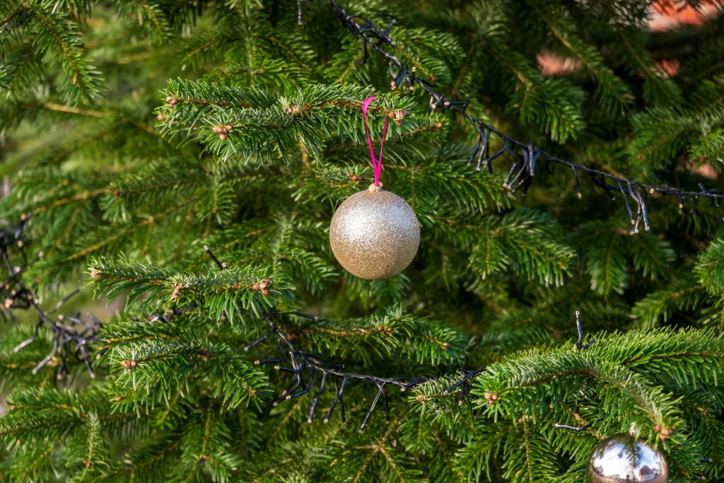 Close-up of a glittery gold ornament hanging from a green pine tree branch outdoors.